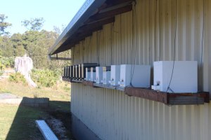 Member, Neville Anderson’s personal Native Stingless Bee Hives (protected from weather)