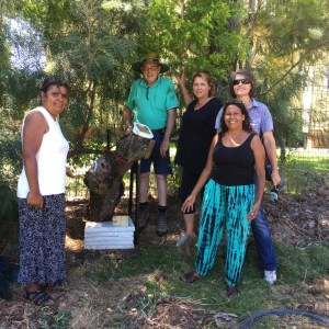 This hive log was rescued in a Grafton Street, saved from the mulcher. The hive came from an English Oak and has just been relocated to a aboriginal community group in Grafton.